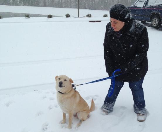 Doria Zarfaty takes Ace for a walk in the snow. (Photo courtesy of Marissa Piner)