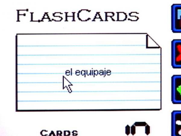 Interactive flash cards help with translation, as do some neat matching games.(WRAL-TV5 News)