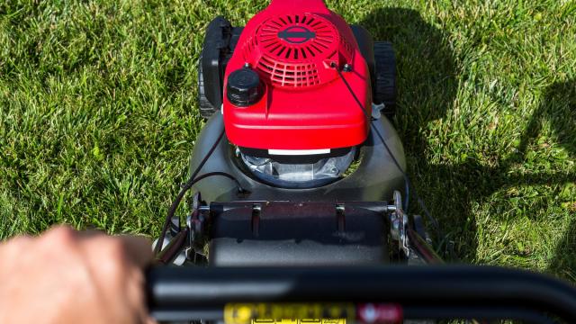 Mowing your lawn to the correct height can keep your yard green, healthy and long-lasting. (02irina/Big Stock Photo)