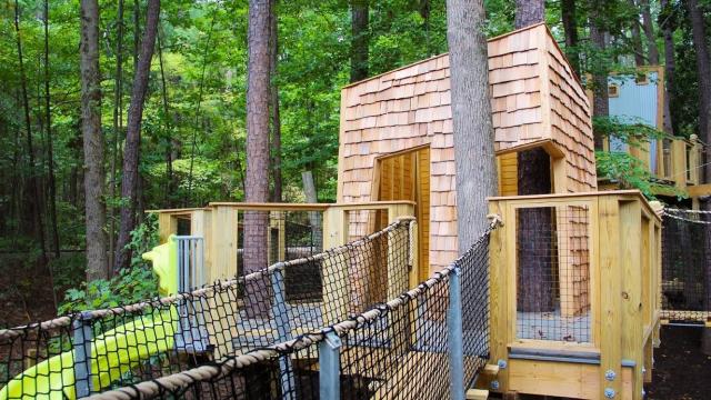 Museum of Life and Science's Hideaway Woods is open with some updates