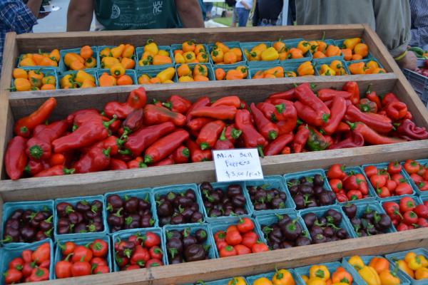 Abundance NC's Pepper Festival was held at Briar Chapel in Chapel Hill on Sept. 27, 2015. 