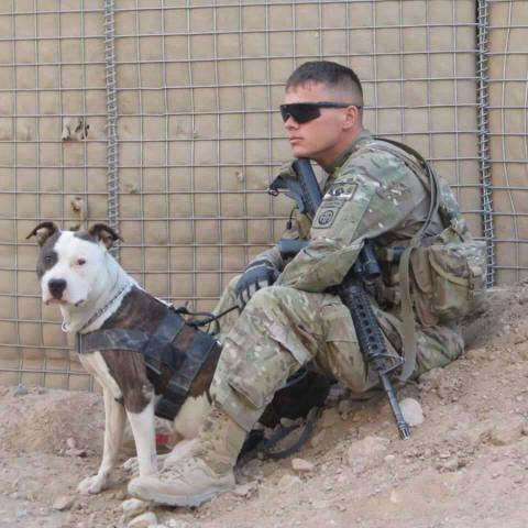 Soldier, sheriff's deputy fight over custody of Army dog