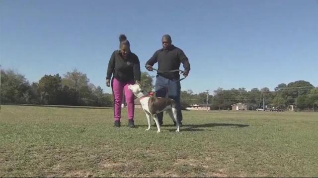 Deputy loses job amid dog custody battle