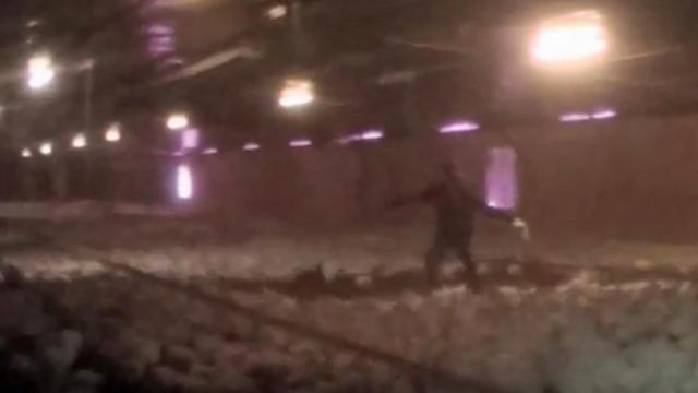 New NC law will limit use of video to uncover abuses at factory farms