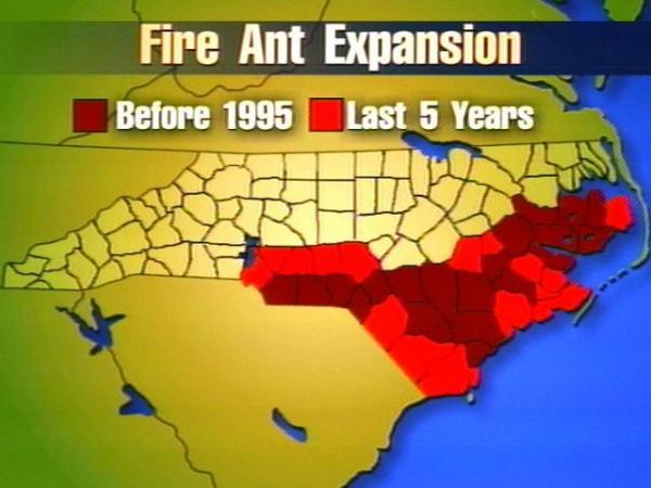 The ants used to be common in the southern part of the state, and since 1995, they have been spreading. The insects have moved as far north as Johnston, Wilson and Edgecombe counties.(WRAL-TV5 News)