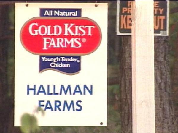 Earlier this year, the owners of Hallman Farms built chicken houses on their land. One neighbor says the smell is too much to bear.(WRAL-TV5 News)