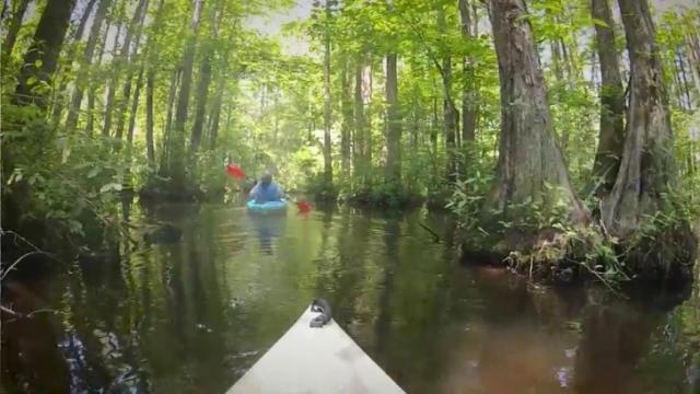 Peaceful paddle offered at Robertson Millpond