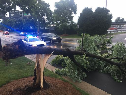 Storms on June 5, 2016 knocked down a tree near Raleigh-Durham International Airport. 