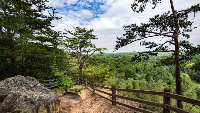 Celebrate the Year of the Trail at one of these locations