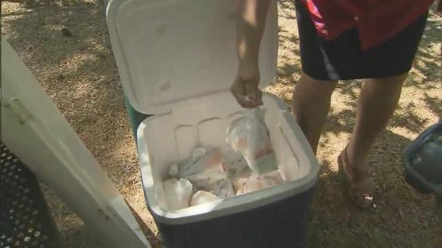 Oak View County Park to offer free summer lunches to kids