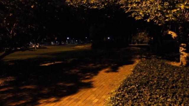 Authorities investigating sexual assault at NCSU bell tower