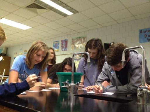 Millbrook High School students pregistered to vote in their science class. (Photo by Jess Clark / WUNC)