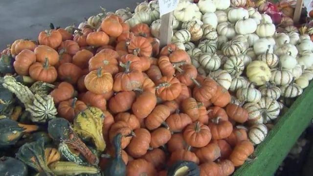 Farmers work to save crops after Hurricane Matthew
