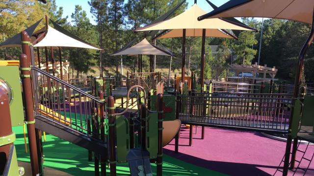 Big news: Sassafras All Children's Playground has reopened 