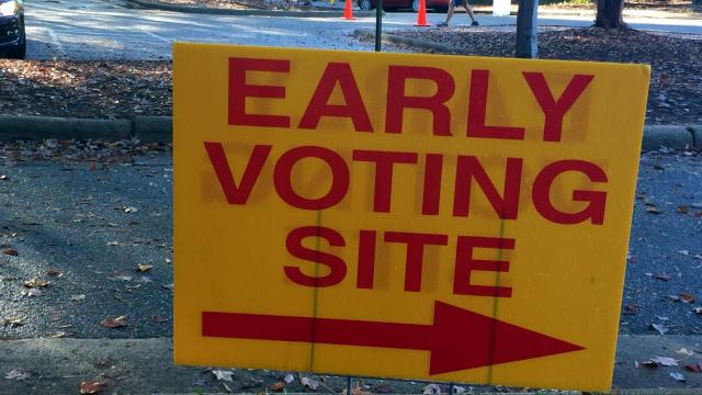 Early Voting Picture
