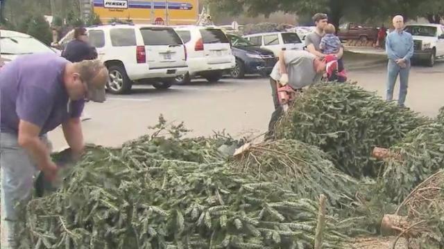 NC drought, wildfires could threaten next year's Christmas tree crop