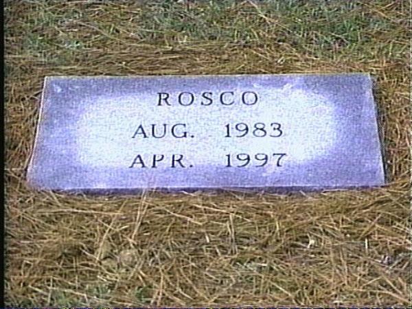 Rosco's Headstone