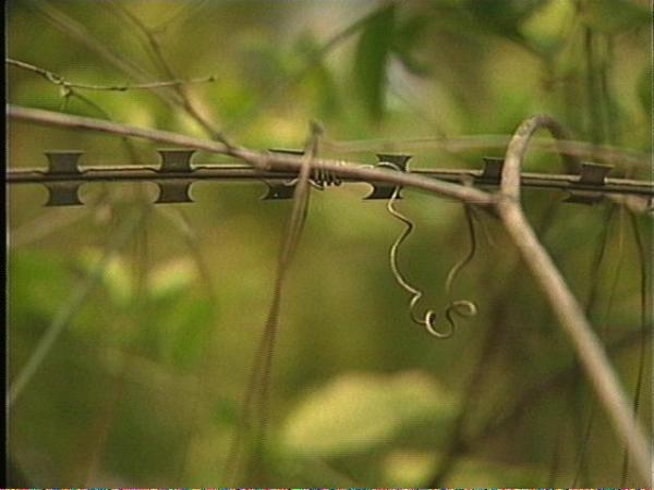 Razor sharp barbed wire could've caused a potentially fatal wound to Officer Campbell if he had run into it with his neck.