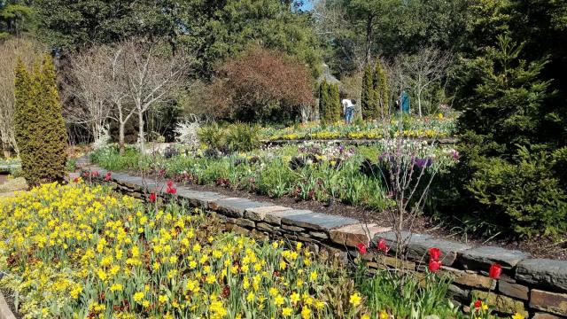 Duke Gardens to reopen with limited capacity in June