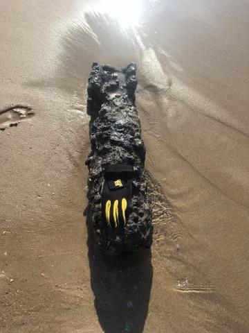 Shelly Island, the new sandbar off Cape Point in Hatteras, North Carolina, was evacuated on Friday due to an object found on the beach. Photo courtesy of Dare County