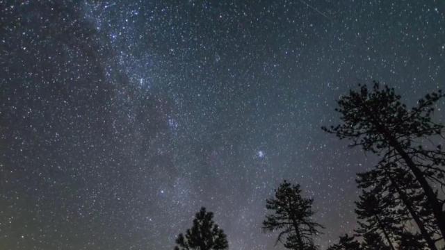 Perseids may disappoint, but the planets dazzle