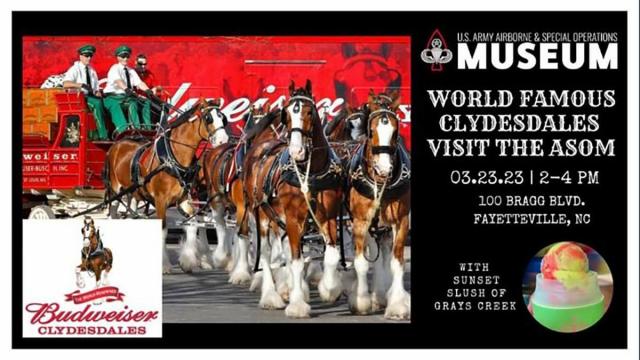 Clydesdales to visit Fayetteville Thursday