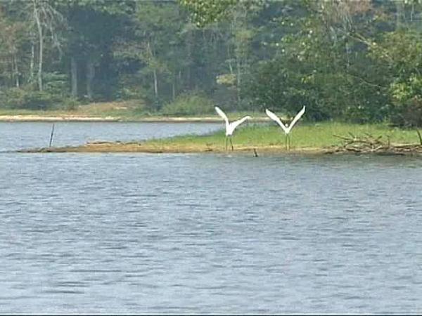 Questions Surround Creedmoor's Lake Dredging Project
