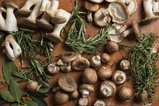 Mushrooms Are a 'Powerhouse of Nutrition'