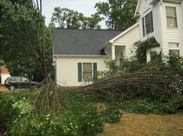 Storms Cause Mess Across Triangle