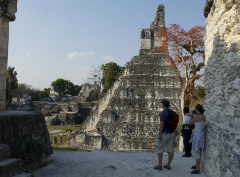 Lasers Reveal a Maya Civilization So Dense It Blew Experts’ Minds