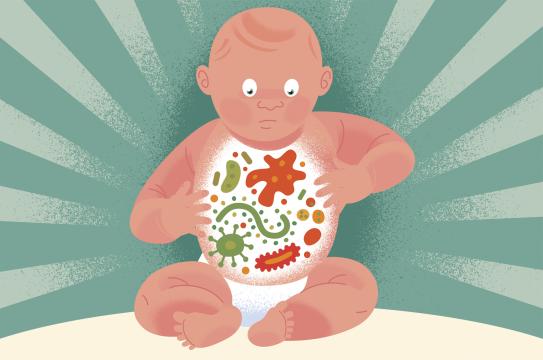 RESTRICTED -- The Importance of Infants’ Exposure to Microorganisms