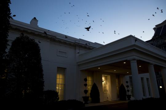 A Whirlwind Envelops the White House, and the Revolving Door Spins