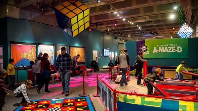 Mazes and Brain Games at the N.C. Museum of Natural Sciences