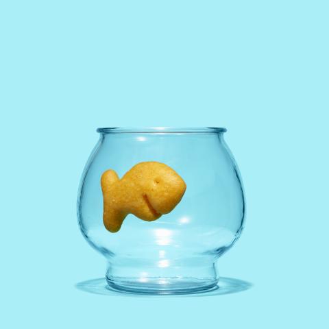 These Goldfish Are 70 Percent Organic