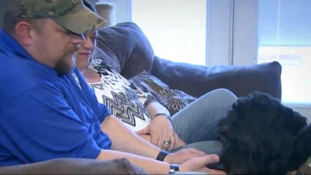 Rescued therapy dog saves life of veteran facing depression, suicide