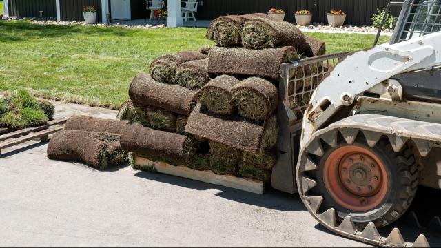 How suppliers determine the price of sod
