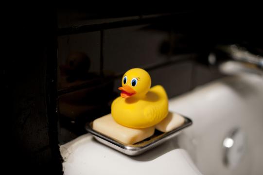 Your Cute Rubber Duck May Be a Haven for Bacteria