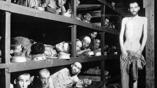 Holocaust is fading from memory, survey finds