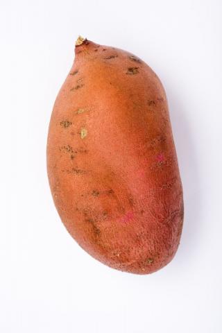 The Sweet Potato: World Colonizer All by Itself?