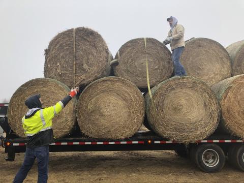 In Fire-Scorched Oklahoma, Help Comes One Bale at a Time