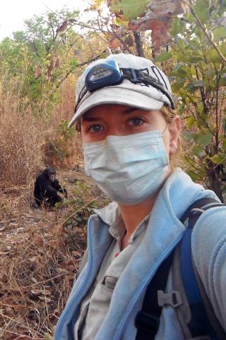 RESTRICTED -- Hints of Human Evolution in Chimpanzees That Endure a Savanna’s Heat