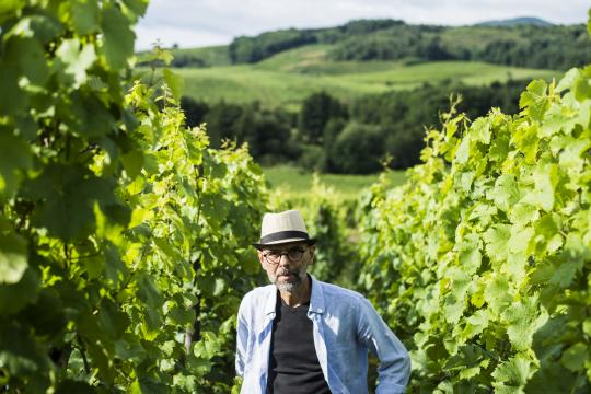Silvaner, a Lovely yet Unloved Spring Wine, Needs Friends