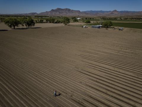 In a Warming West, the Rio Grande Is Drying Up