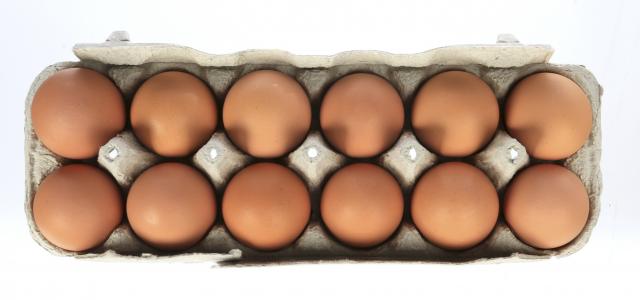 Organic Egg Ratings at Your Fingertips