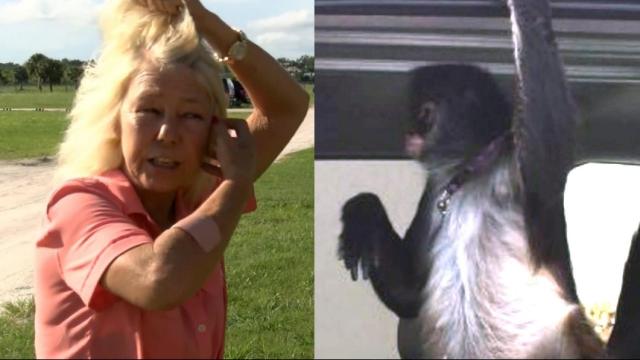 Monkey attacks Florida Home Depot worker