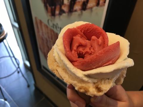 Amorino gelato shop in downtown Raleigh