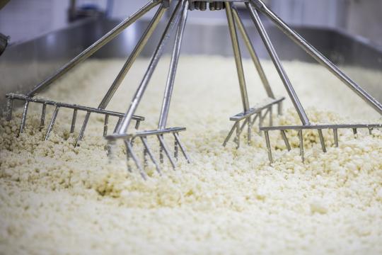 Trump’s Trade War Shuts Cheesemakers Out of Foreign Markets
