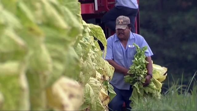 NC farmers caught in crossfire of escalating trade war