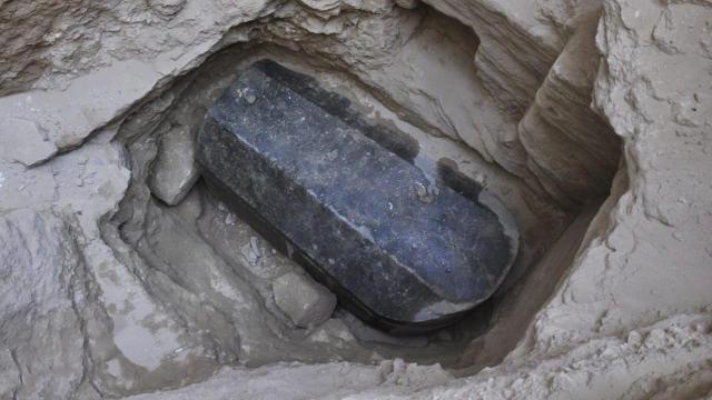 Sarcophagus found. Contents unknown. ('No guessing, please.')