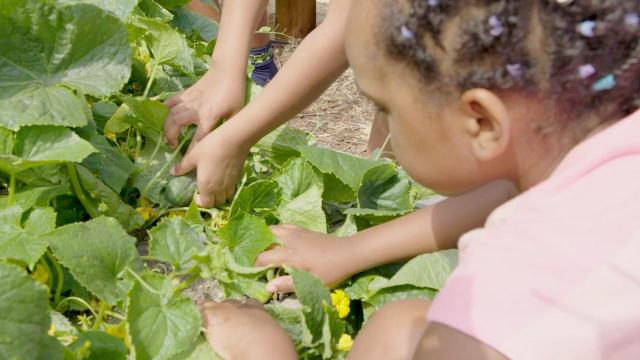 Bugg elementary students dig in to healthy eating